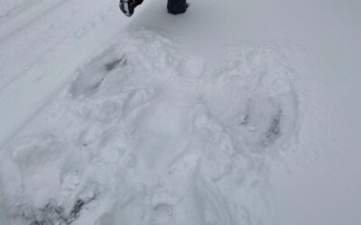 Nov 20, Juneau Snowstorm