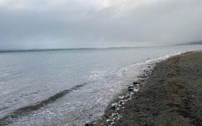 Nov. 24 Indigenous People’s Day on the Chilkat