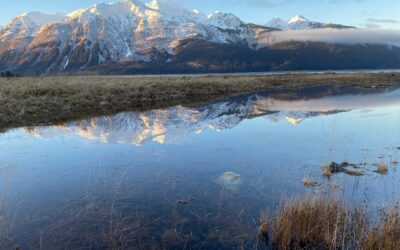 Nov 28 Falling in Love With This Place Again