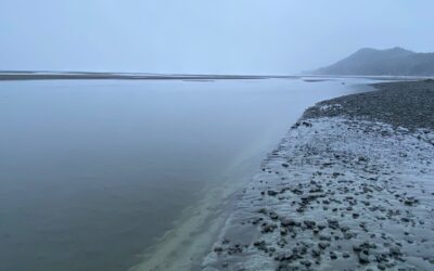 Cherishing the Chilkat on the last day of November