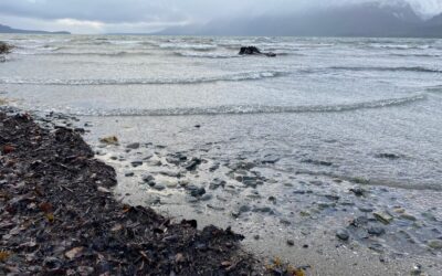 Nov 7 Small Craft Warning on the Chilkat