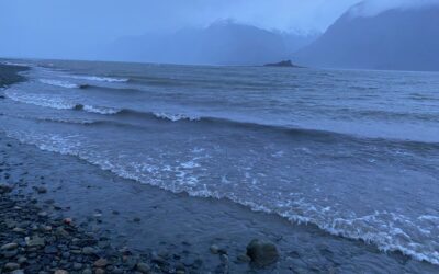 November 9, Windy & Wet on the Chilkat