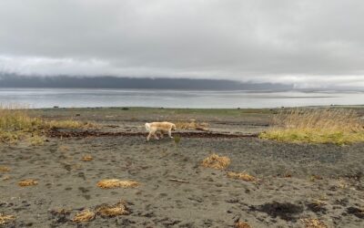 The Third of November