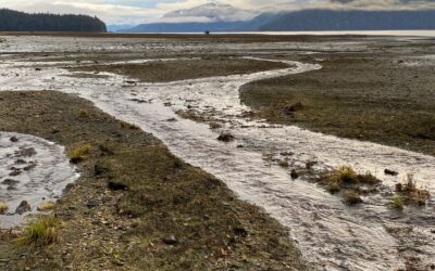 Nov 16 Tenakee Inlet