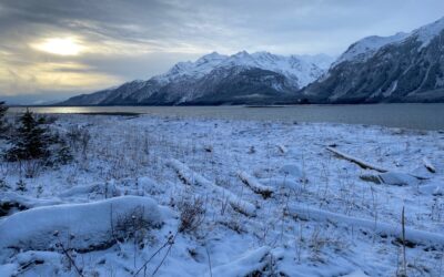 Dec. 1 Chilkat River Snow