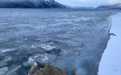 Dec. 10, Sunday’s Thought & Photos