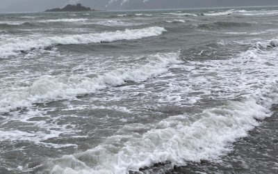 Dec. 11: Surf’s Up on the Chilkat