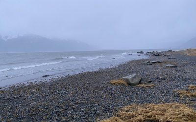 Dec 12  Bad Weather & Good Will