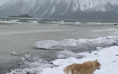 Dec 14 : Something Good can Happen Anytime Too