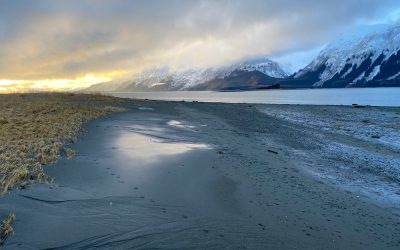 Dec 15:  A Fine Performance