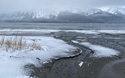 Dec 16  Light and Good Will