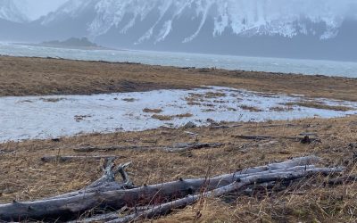 Sunday’s Thought Dec. 17