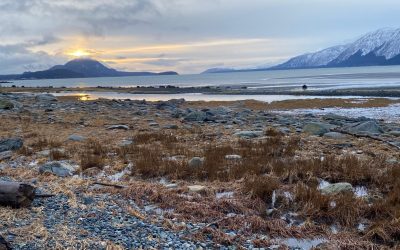 Dec 18, Again. (Love and Joy.It’s Complicated)