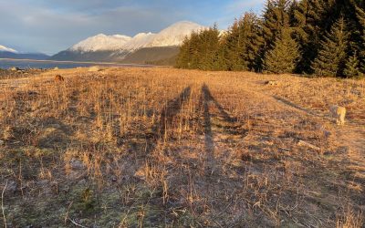 Dec 19 Good Morning Sunshine!