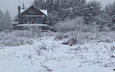 Dec 23 Christmas Card