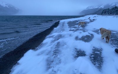 Dec 29  Light is Particle & Wave