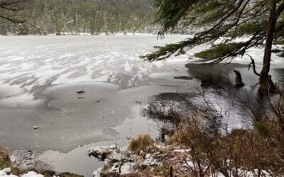 Dec. 3 The First Sunday in Advent