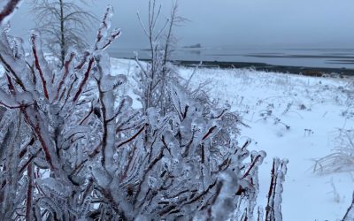 The Second to Last Day of the Year