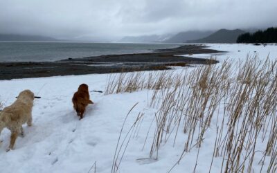 Dec. 5: It Could Be Worse.