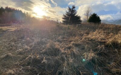 Dec 7 : Let There be Light