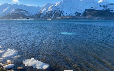 Jan 10 Beach to Beach