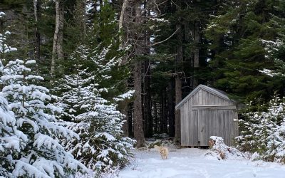 Jan 2 Snow and Screens