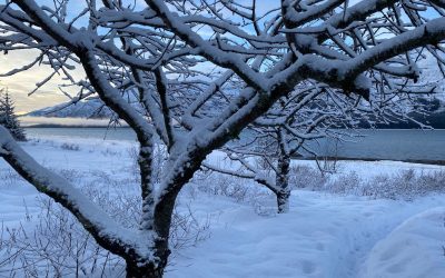 Jan 5 Singing in the Snow