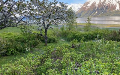 Good Morning, Good Day