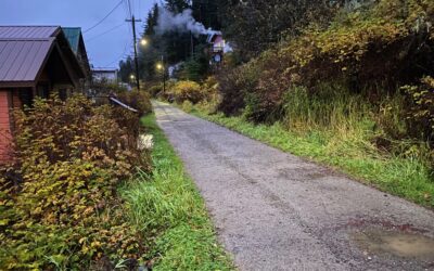 Leave the Light On: A Tenakee Dispatch