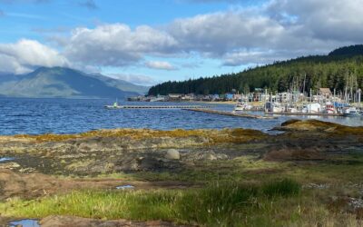 Fall Colors in Tenakee Post Card