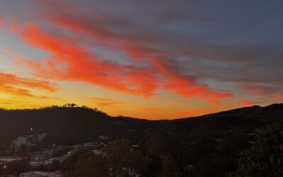 Remember to Remember