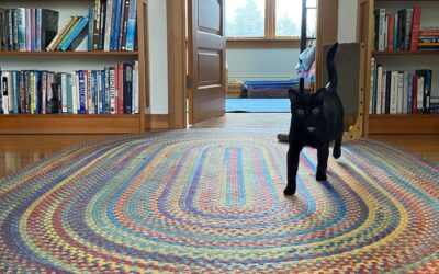 Good News, a Cat, 3 Wise Things, A lot of Love and a big Loss.