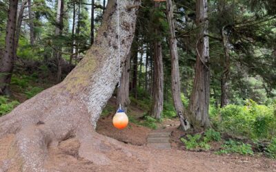 A Little News for Subscribers