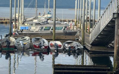 A Dog Story (or Leaving Tenakee is an Adventure)