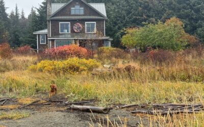 A Little Dinner with Friends