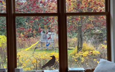 Sunday’s Thought (s)