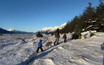 Dec 23 Advent Love in a Picture