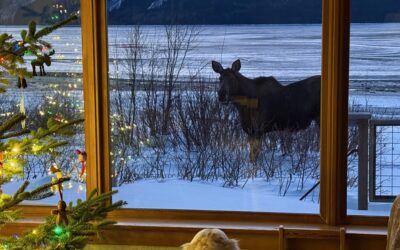 Dec. 18 Advent Scenes (love and joy)