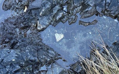 Dec. 2 Advent Thoughts (And a Poem about Goats)