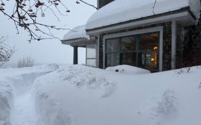 It’s Beginning to Look a Lot like Alaska