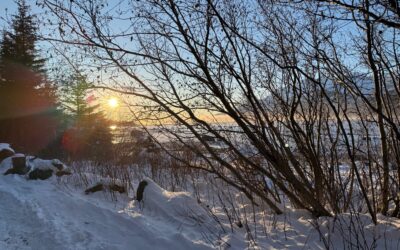 Advent Thought Dec. 12 – Help Angels be Useful