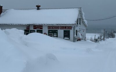 Wishing for a Lucky New Year (And It’s Still Snowing…)