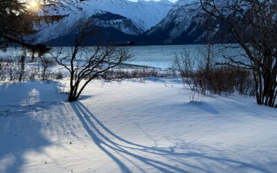 Advent Thought (s) Dec. 19 Celebrate the Shadows