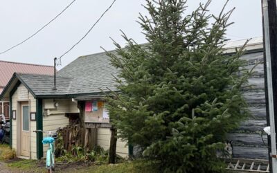 Dec. 3 Advent Thoughts : Give Lavish