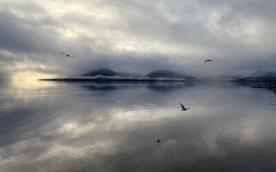 Advent Thought (and pictures) for Dec. 4