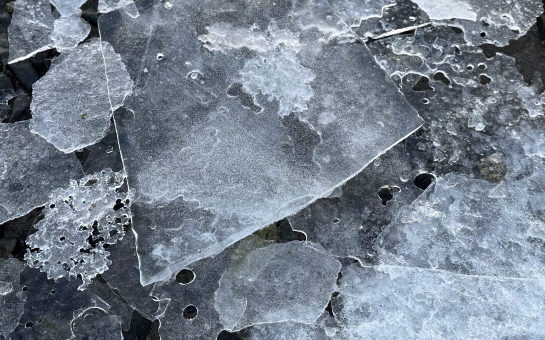 Who Are We? Calling all Senators